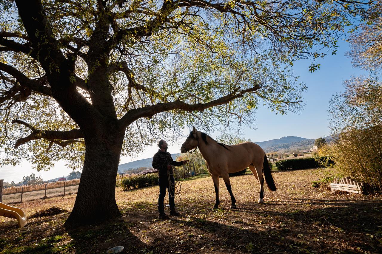 El Molino Agriturismo Fonteblanda Dış mekan fotoğraf
