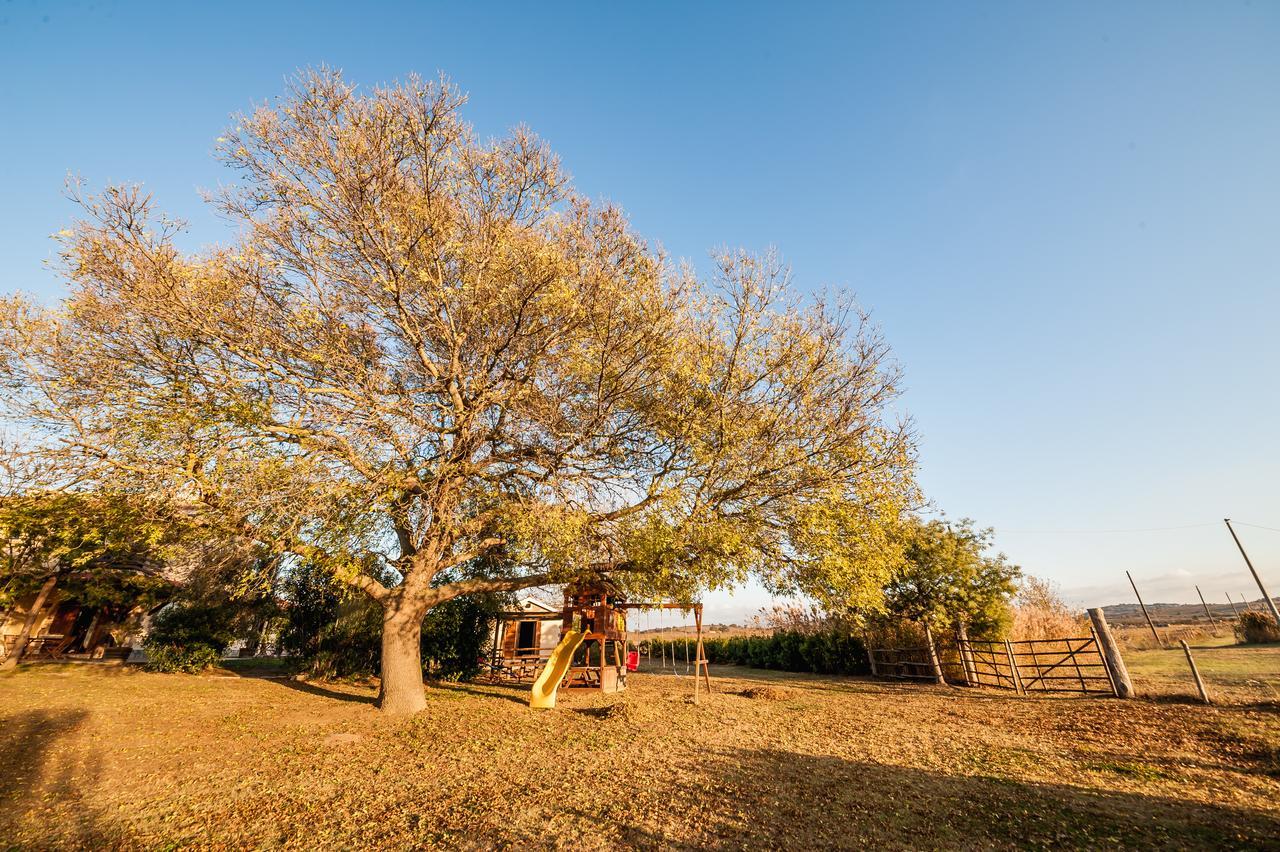 El Molino Agriturismo Fonteblanda Dış mekan fotoğraf