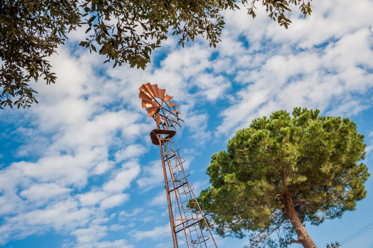 El Molino Agriturismo Fonteblanda Dış mekan fotoğraf
